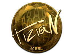 tiziaN (Gold) | Katowice 2019 image