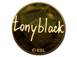 tonyblack (Gold) | Katowice 2019 image
