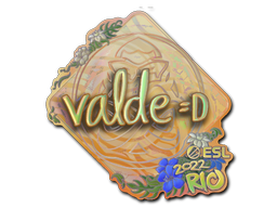 v4lde (Holo) | Rio 2022 image