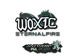 woxic (Glitter) | Antwerp 2022 image