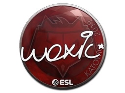 woxic | Katowice 2019 image