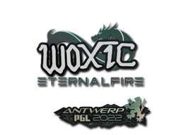 woxic | Antwerp 2022 image