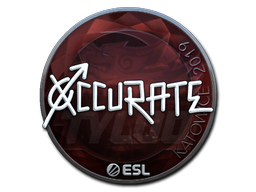 xccurate (Foil) | Katowice 2019 image