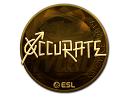 xccurate (Gold) | Katowice 2019 image