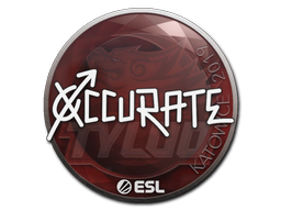 xccurate | Katowice 2019 image