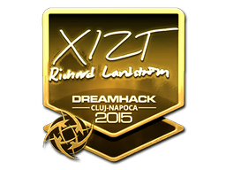 Sticker | Xizt (Gold) | Cluj-Napoca 2015 image