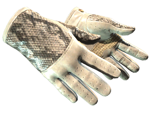 ★ Driver Gloves | King Snake image