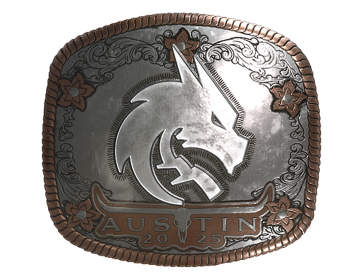 Team Spirit (Foil) | Austin 2025 image