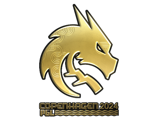 Team Spirit (Gold) | Copenhagen 2024 image