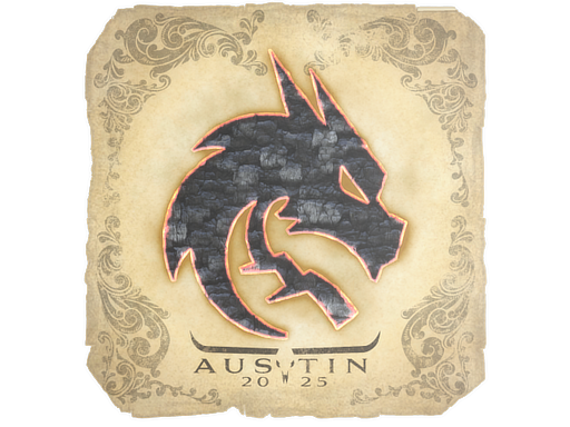 Team Spirit | Austin 2025 image