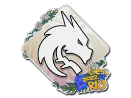 Sticker | Team Spirit | Rio 2022 image