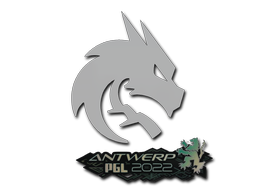 Sticker | Team Spirit | Antwerp 2022 image