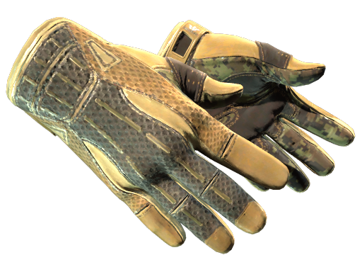★ Sport Gloves | Arid image