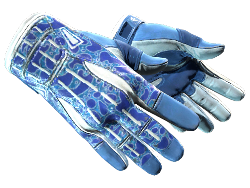 ★ Sport Gloves | Amphibious image