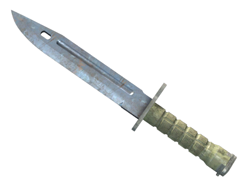 ★ Bayonet | Rust Coat image