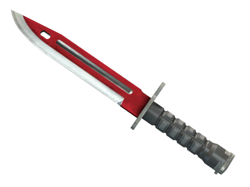 ★ Bayonet | Autotronic image
