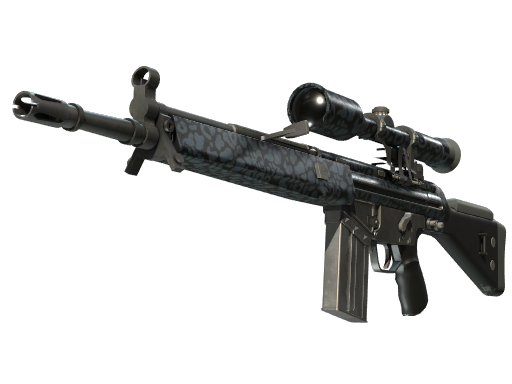 G3SG1 | Murky image