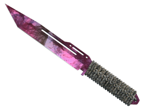 ★ Paracord Knife | Doppler Phase 2 image