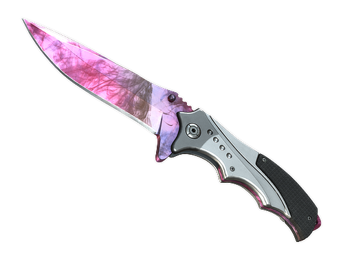 ★ Nomad Knife | Doppler Phase 2 image