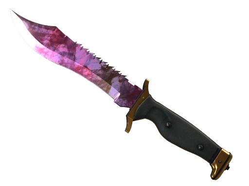 ★ Bowie Knife | Doppler Phase 2 image