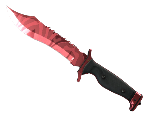 ★ Bowie Knife | Slaughter image