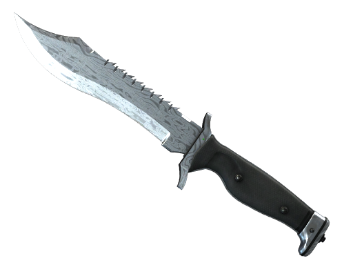 ★ Bowie Knife | Damascus Steel image