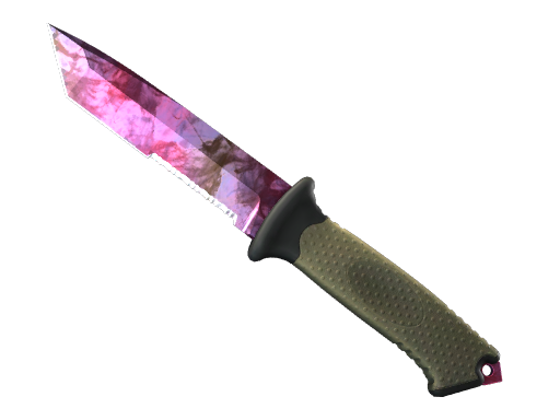 ★ Ursus Knife | Doppler Phase 2 image