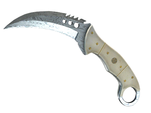 ★ Talon Knife | Damascus Steel image