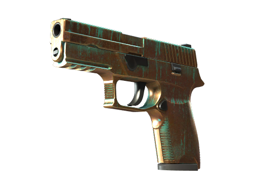 P250 | Verdigris image