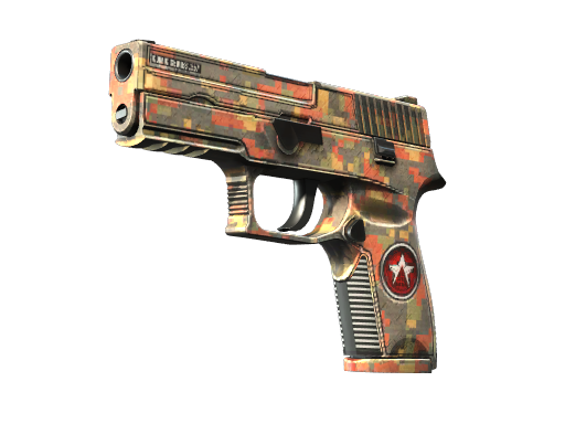 P250 | Red Rock image