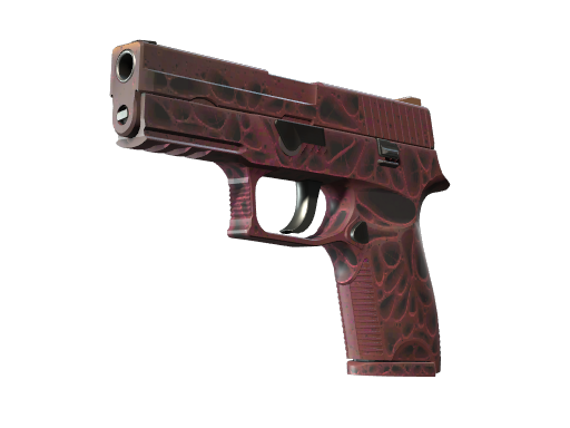 P250 | Contaminant image