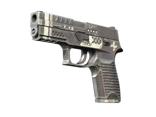 P250 | Re.built image