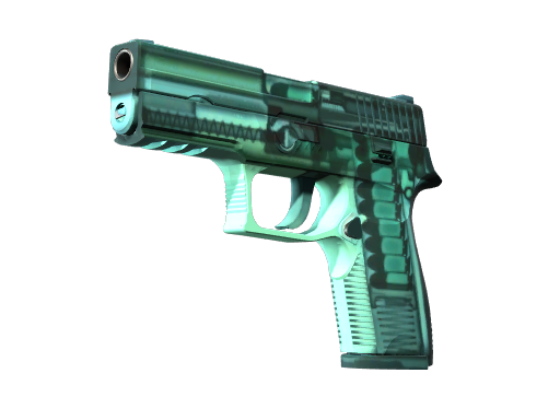 P250 | X-Ray image