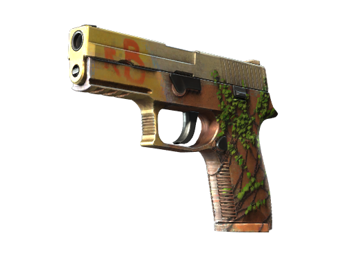 P250 | Inferno image
