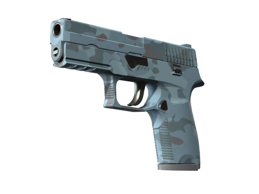 P250 | Forest Night image