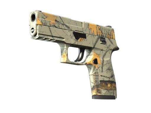 P250 | Modern Hunter image
