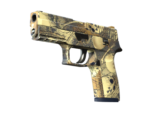 P250 | Contamination image