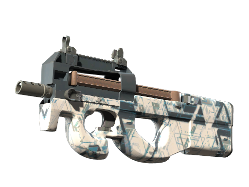 P90 | Schematic image