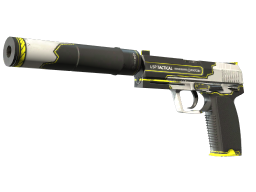 USP-S | Torque image