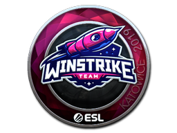 Sticker | Winstrike Team (Foil) | Katowice 2019 image